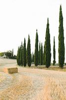 Typisch Toscaans landschap | Italië | Cypresse bomen | Natuur | Reisfotografie