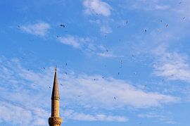 Peaceful Day in Istanbul - Minimalist Travel Photography by Carolina Reina Photography