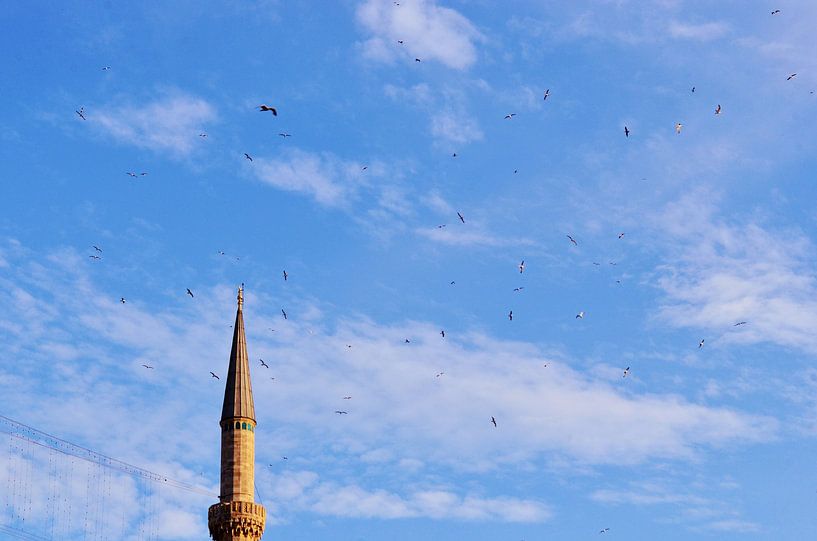Art in the Sky of Istanbul - Urban Photography by Carolina Reina Photography