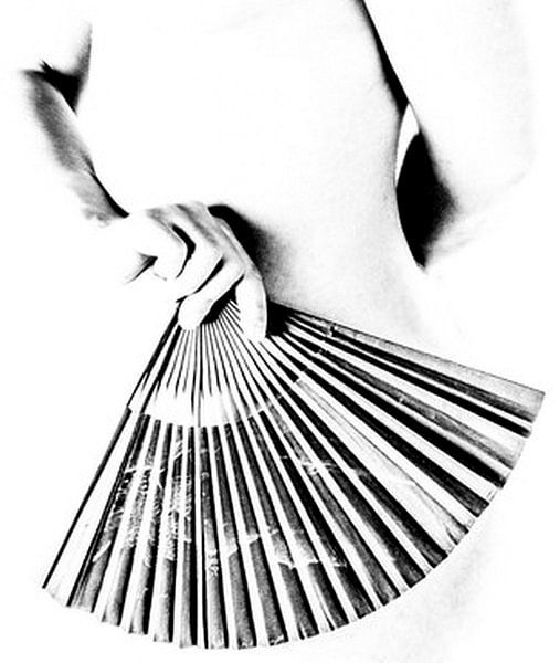 The fan by Norbert Sülzner