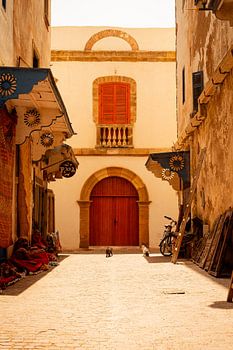 Large door with cats
