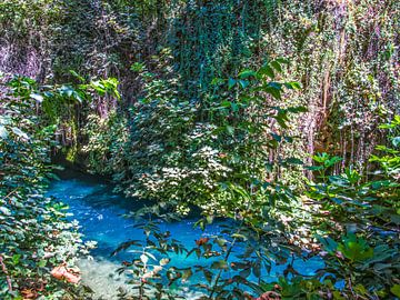 Water Stroming van Duden Waterval van Nature Life Ambience