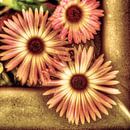 Digital Art Medium Blumen Alt von Hendrik-Jan Kornelis Miniaturansicht