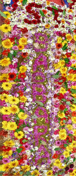 Blütenpanorama van Edgar Schermaul