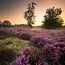 Bergen op Zoom