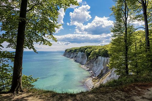 Chalk cliffs on the Baltic Sea coast
