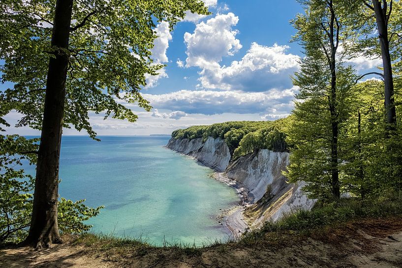 Krijtrotsen op het eiland Rügen van Rico Ködder