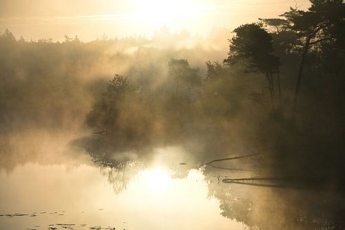 Lever du soleil à Oisterwijk sur Evelien Huisman