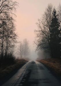 Herbstspaziergang im Nebel
