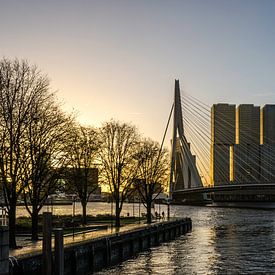 Morgenspaziergang in Rotterdam | Erasmusbrücke von Ricardo Bouman Fotografie