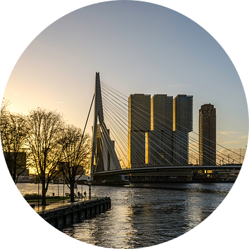 Ochtendwandeling in Rotterdam | Erasmusbrug van Ricardo Bouman