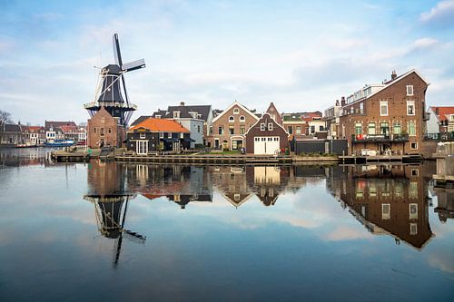 Molen in Haarlem in de winter