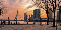 SKYLINE ROTTERDAM VEERHAVEN