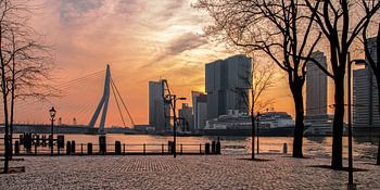 SKYLINE ROTTERDAM VEERHAVEN