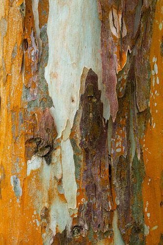 Natürlicher abstrakt III