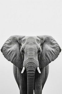 Afrikanischer Elefant