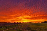 Landschaft mit rotem Schein