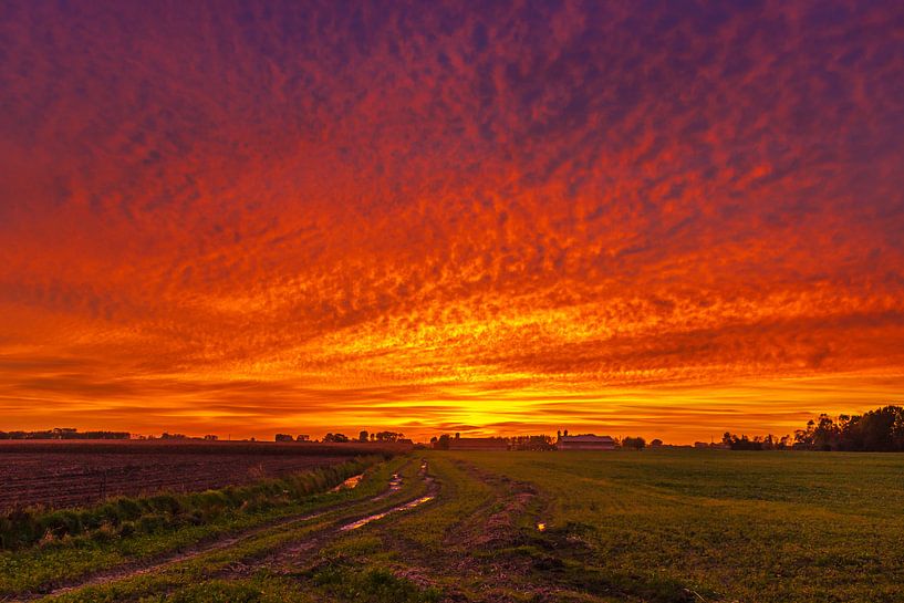 Landscape with red glow by Studio Kunsthart