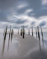 Dehpt of silence