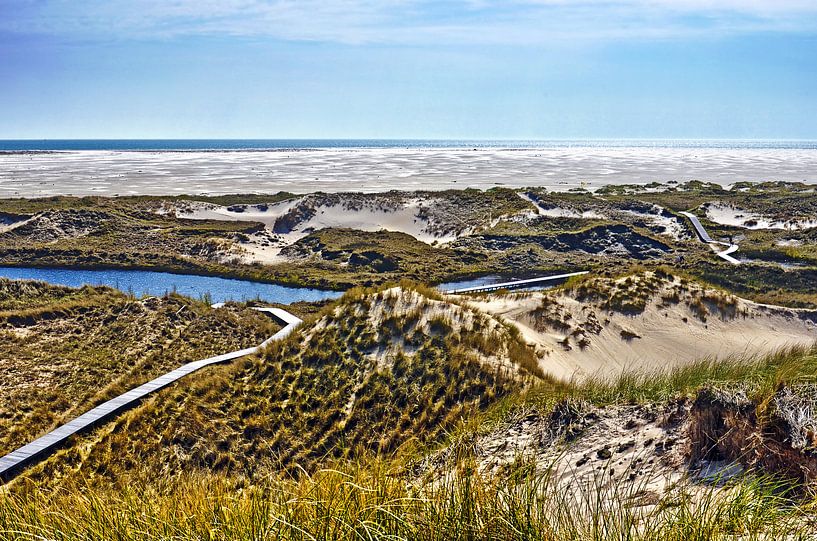 Strand und Dünen auf Nordsee-Insel Amrum von Frans Blok - Fotos, Kunst und weitere Wanddekoration