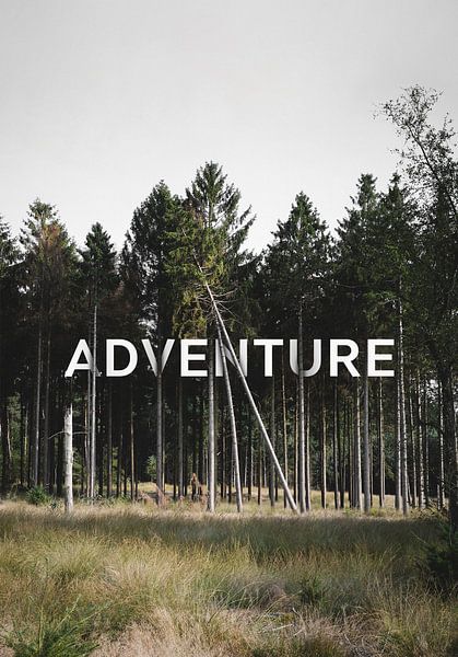 L'aventure est là par Jurriaan Huting