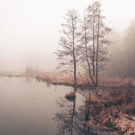 an der Uferpromenade im Nebel von Marlies van Zetten