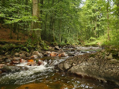 Kalte Bode River in the Harz Mountains