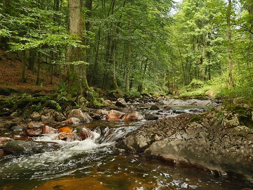 Kalte Bode im Harz