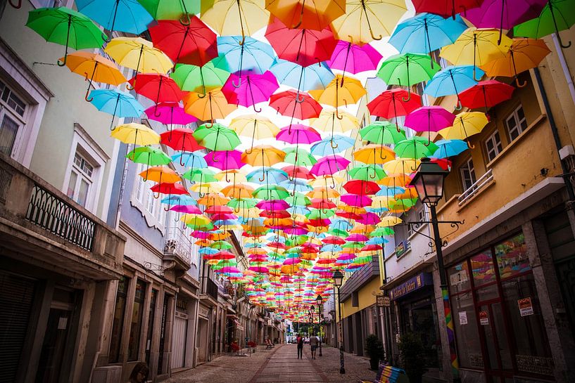 Porto by Hello Pompoyo
