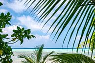 Tropisch uitzicht over de zee Salomon eilanden van Ron van der Stappen thumbnail