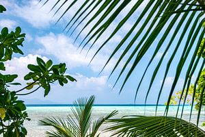 Tropischer Blick auf das Meer Salomonen von Ron van der Stappen