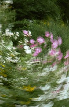 In Monets Garten