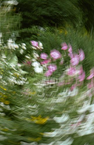 In Monet's garden