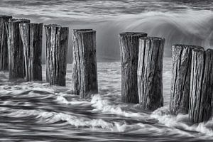 Brise-lames sur la plage de Burgh-Haamstede
