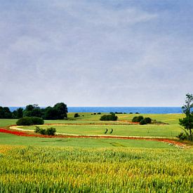 Sommer an der Ostsee von Dieter König