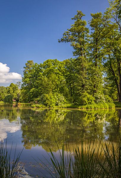 Schwanenteich im Kurpark von Bad Homburg by Christian Müringer