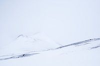 frozen