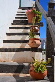 White stairs with flowerpots against blue sky by My Footprints