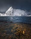 Fjord Lofoten van Peter Poppe thumbnail