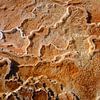 Motif fantaisiste en orange et blanc dans le parc national de Yellowstone sur My Footprints