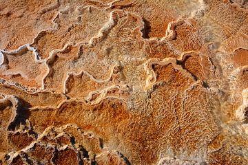 Skurriles Muster in Orange und Weiß im Yellowstone National Park von My Footprints