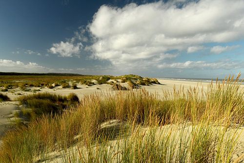 Dunes by the sea. Wadden