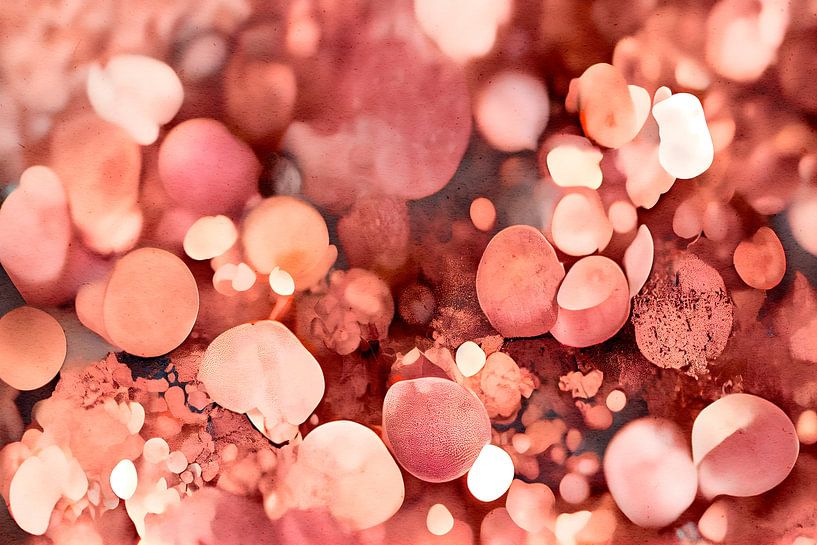 Macro Sparkle by Treechild