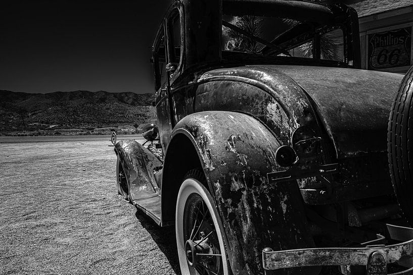 The look of Hackberry by Peter Nijsen