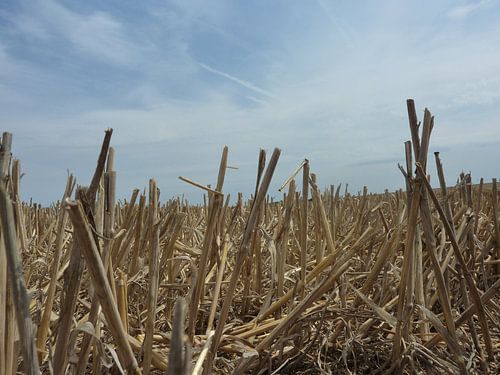 Akker met een stoppel veld in de graanstreek van Frankrijk
