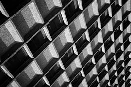 Solide comme un roc sur Jeroen van de Wiel