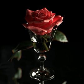 Rose in glass portrait by TheXclusive Art