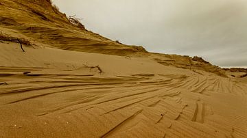 Dune Series III