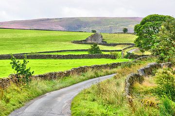 In the Yorkshire Dales by Gisela Scheffbuch