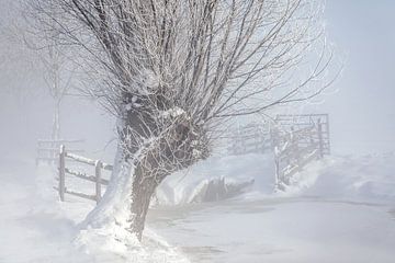 Winter in de Alblasserwaard van Ko Hoogesteger